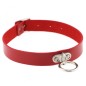 Fashion Trend Leather Collar