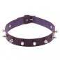 Punk Spiked Studded Leather Collar