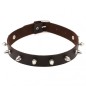 Punk Spiked Studded Leather Collar