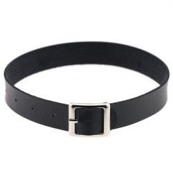 Harajuku Punk Rock Leather Collar - Silver