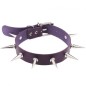 Spikes Punk Neck Collar