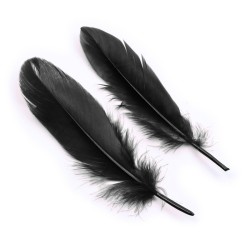 Feather Ticklers Kit With Cuffs &amp; Blindfold