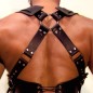 Shoulder Strap Harness