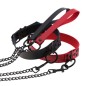 Colorful O Ring Punk Collars With Lead