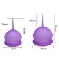 Silicone Menstrual Cup Feminine Hygiene Lady Cup