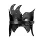 Steampunk Irregular Party Cosplay Mask