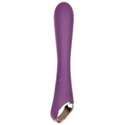 Silicone 10 Frequency Vibration Vibrator