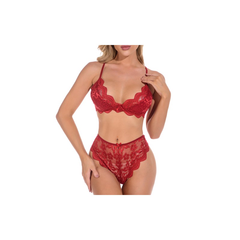 Hot Lace Transparent Bra And Panty Two-piece Suit