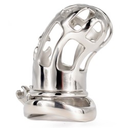 Hollow Out Chastity Cage With Bent Ring