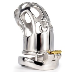 Hollow Out Chastity Cage With Bent Ring