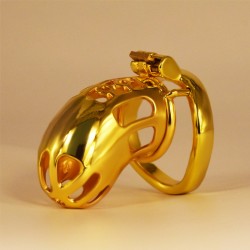 Hollow Out Chastity Cage With Bent Ring