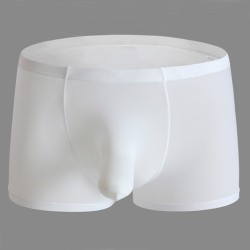 Hard To Resist Comfortable Ice Silk Boxer Brief