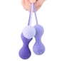 Alice Kegel Balls System