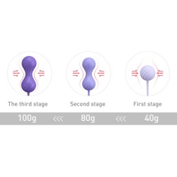 Alice Kegel Balls System