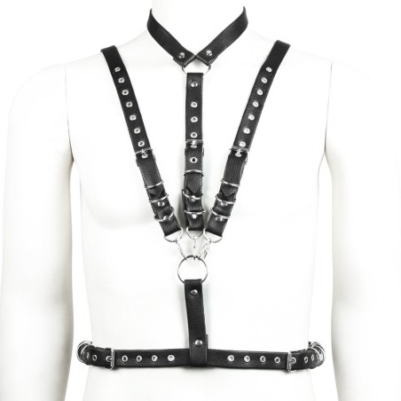 Body Harness with Hook