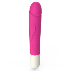 Merry Silicone Vibration Dildo