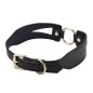 O Ring Leather Neck Collar