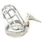 Plum Blossom Bend Ring Chastity Device