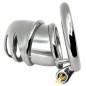 Detained Stainless Steel Chastity Cage