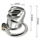 Detained Stainless Steel Chastity Cage