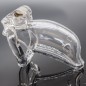 Dolphin Male Chastity Device