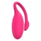 APP Control Smart Flamingo Sex Egg