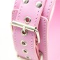 O Ring Pink Lock Collar