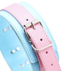 Blue &amp; Pink Collars with Lead