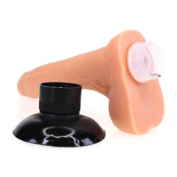 Suction Vibration Realistic Dildo