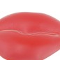 Lips Nipple Cover