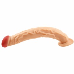 No Ball Suction Realistic Dildo