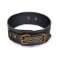 Vintage Style Collar with Leash