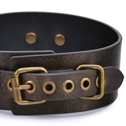 Vintage Style Collar with Leash