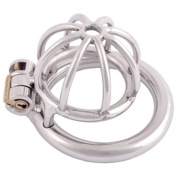 The Pen Deluxe Stainless Steel Locking Chastity Cage