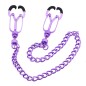 Nipple Clamps with Removable Chain