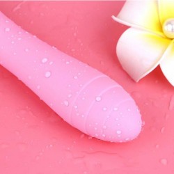 V5 CiCi Vibrator