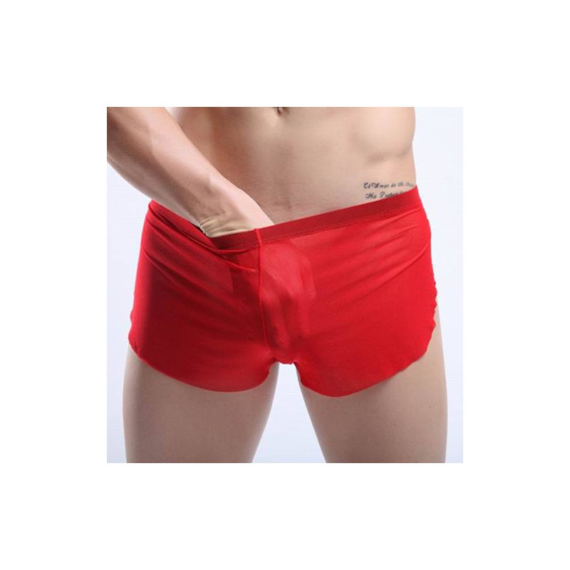 New Arrival See-through Comfortable Mesh Boxers