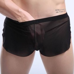 New Arrival See-through Comfortable Mesh Boxers