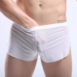 New Arrival See-through Comfortable Mesh Boxers