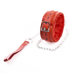 Plush Lined Metal Lead Collar