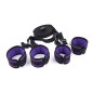 Purple And Black Bed Restraint Kit