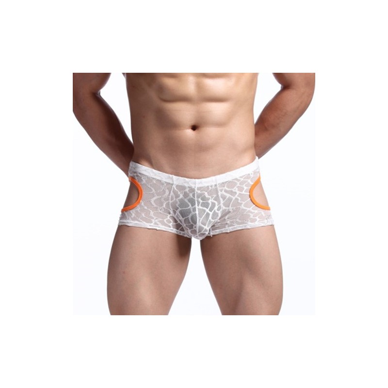 Comfortale Lace Transparent Boxer Shorts Underwear