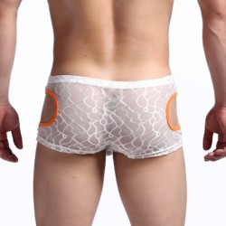 Comfortale Lace Transparent Boxer Shorts Underwear