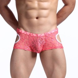 Comfortale Lace Transparent Boxer Shorts Underwear