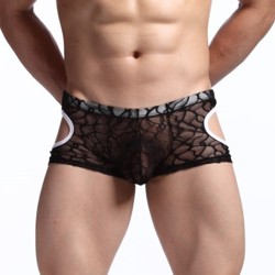 Comfortale Lace Transparent Boxer Shorts Underwear