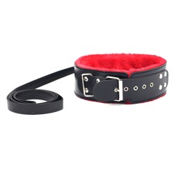 Red Fur Lined Locking Collar