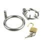 Stainless Steel Crown of Thorns Chastity Device