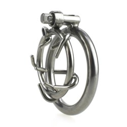 Stainless Steel Crown of Thorns Chastity Device